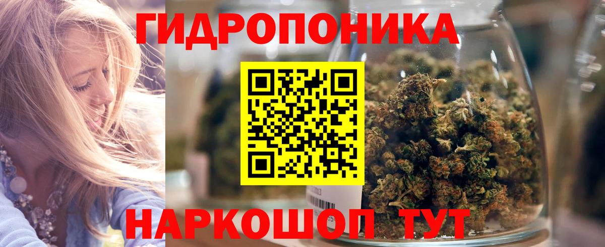 Бошки марихуана THC 21% Сунжа